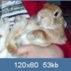 Benutzeravatar